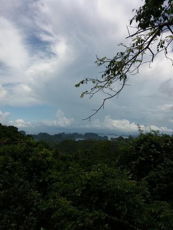 Duc Tuan Hotel Hai Phong Eksteriør billede