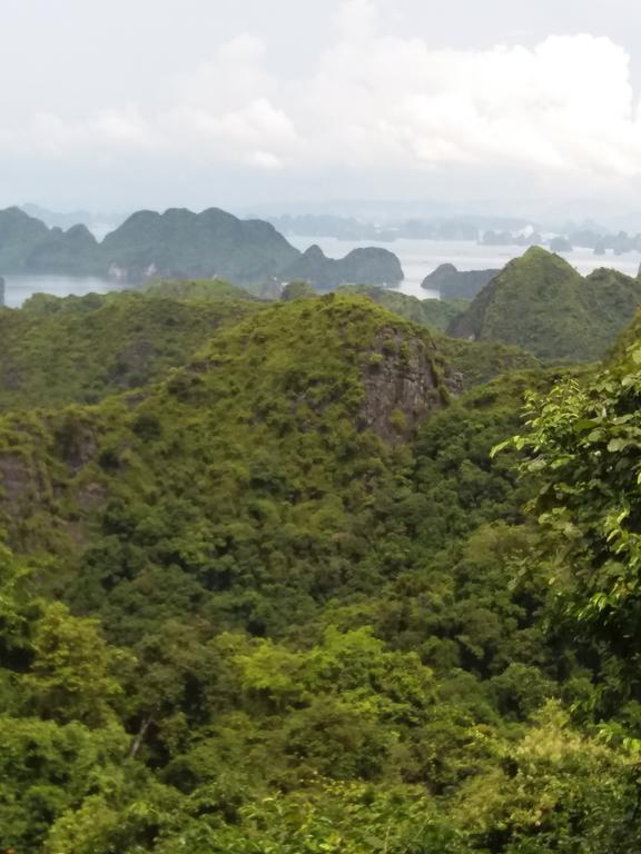 Duc Tuan Hotel Hai Phong Eksteriør billede